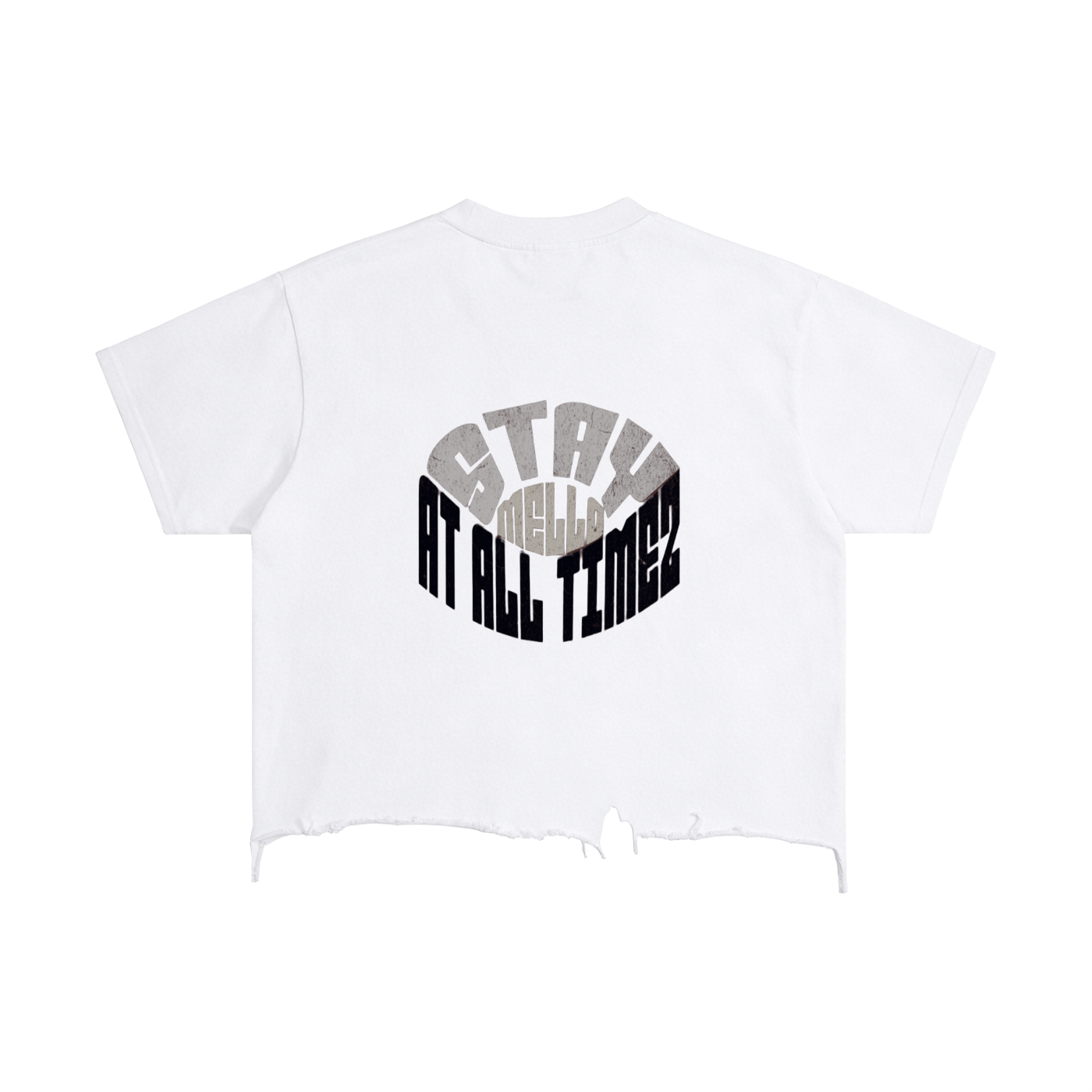 Boxy Distressed Hem T-Shirt